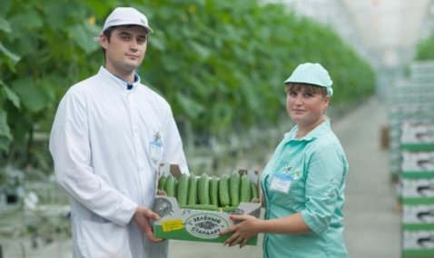 Более 5,5 тонн овощей безвозмездно выделила пенсионерам «Агрокультура групп»