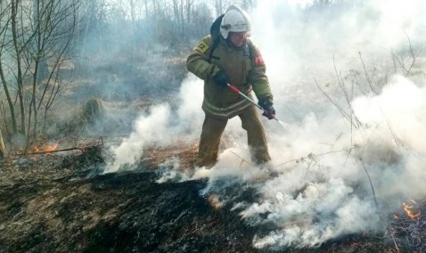 В «Мособлпожспас» показали последствия пала травы в Кашире
