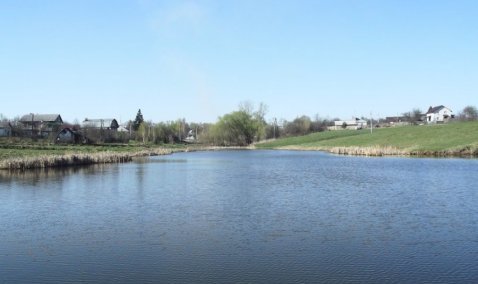 Гидрологическое обследование двух прудов проведут в городском округе Кашира