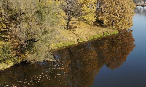 Тело утонувшего мужчины обнаружили в пруду вблизи Зендиково