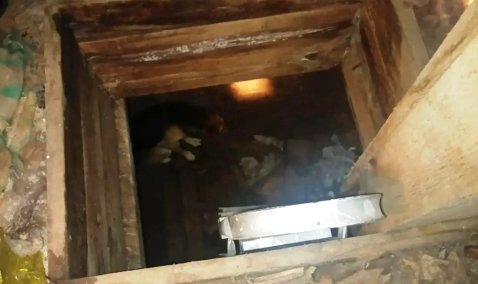 Спасатели вытащили собаку из подвала заброшенного сарая в Большом Руново