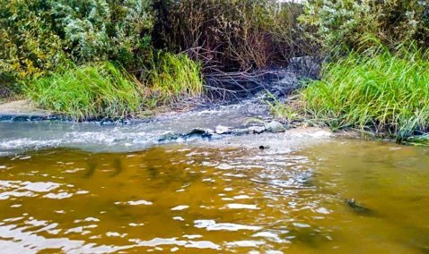 Прокуратура наказала предприятие в Кашире за сброс канализации в Оку