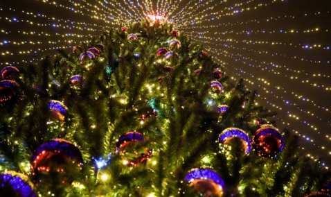 Главную новогоднюю елку Каширы снова установили на стадионе «Энергетик»