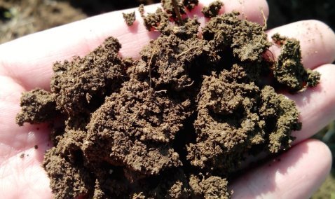 Россельхознадзор выявил нарушения при разработке карьерной выемки в Кашире