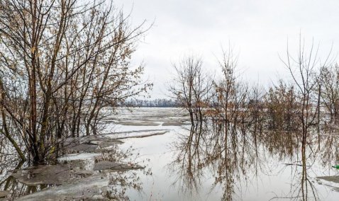 «Большая вода» может подтопить почти 40 домов в Кашире