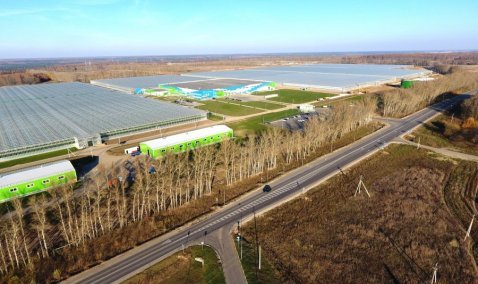 Новую дорогу протяженностью почти 3 километра построят в городском округе Кашире