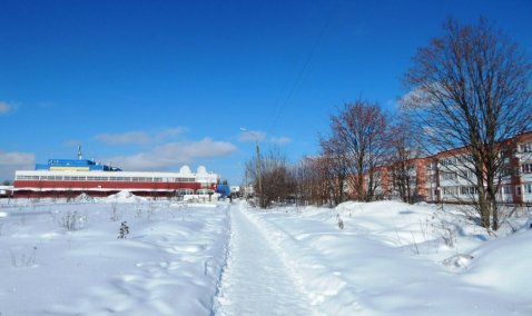 Общественная палата направила рекомендации установить видеокамеры на дороге к «Тесне»