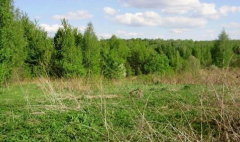 Каширские фермеры «забыли» о 182 гектарах земли, попав под проверку Россельхознадзора