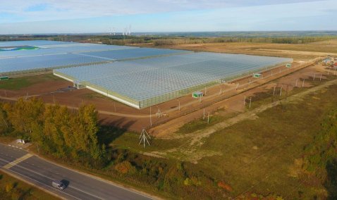 Соглашение по строительству крупного тепличного комплекса в Кашире подпишут на агрофоруме