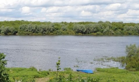 Каширские браконьеры получили по 2 года условного срока за незаконный вылов рыбы