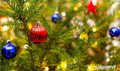 В Кашире и еще пяти деревнях установят новогодние ели