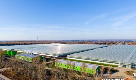 Немцы могут направить инвестиции в особую экономическую зону «Кашира»