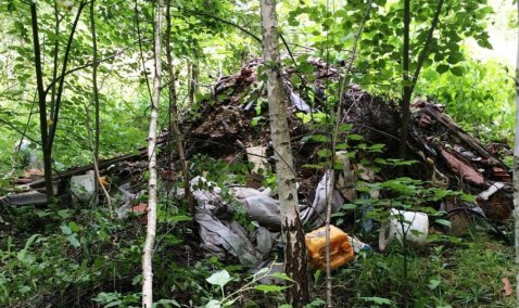 Россельхознадзор заставил убрать свалку мусора с сельхозземель в Кашире