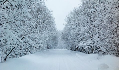 Долой бездорожье: в деревне Малеево капитально отремонтируют дорогу