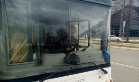 Перемен не предвидится: в Минтрансе пояснили, почему маршрут 43-го автобуса не будет продлен до Каширы-2