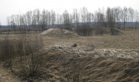 Двойной штраф за неиспользование сельхоземель заплатит собственник из Каширы