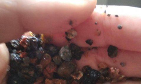 Ил, камни, ракушки: «внутренности» батарей в Кашире-2 напоминают подводный мир