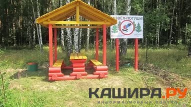 Новые места отдыха в лесу