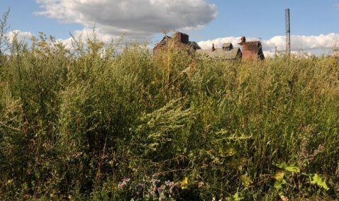 Собственник 10 гектаров земли в Кашире оштрафован за нарушение законодательства