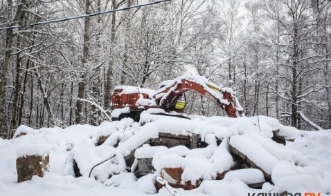 В Каширском городском парке демонтировали бывшее здание летнего кинотеатра