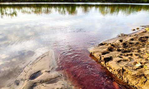 Жители деревни Баскачи сняли на видео багровый ручей, впадающий в Оку