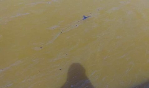 Рыбаки в районе Каширской ГРЭС обнаружили следы нефтепродуктов на поверхности Оки