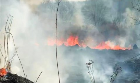 «Признаки» весны: в Кашире начался сезон пала травы