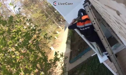 Немного доброты: спасатели в Кашире спасли птицу, застрявшую под балконным козырьком