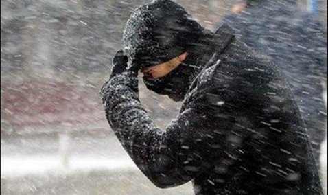 Областное МЧС предупреждает о мокром снеге и усилении ветра с порывами до 17 м/с