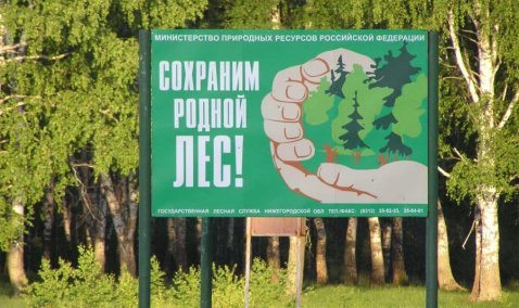 В Кашире сохраняется 4-й класс пожарной опасности