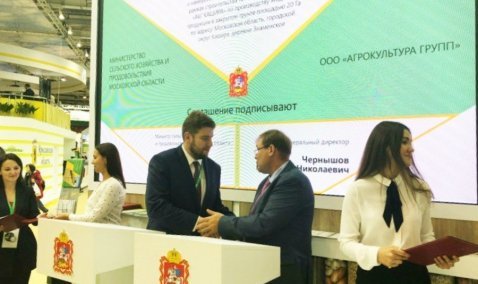 Ягоды в промышленном масштабе будут выращивать на 20 гектарах в Кашире