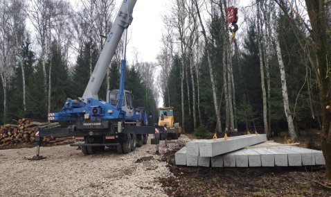 Благоустройство лесопарковой зоны.