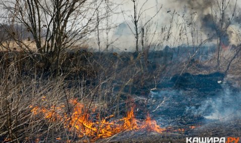 Пожнадзор напоминает о запрете на пал сухой травы и острожном обращении со свечами