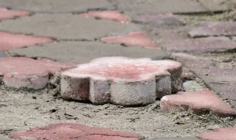 «Здесь все отваливается, это ужас»: работа УК в «Березовой роще» подверглась жесткой критике властей