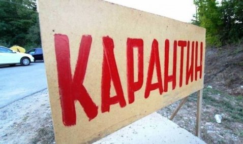 На окраине городского округа Кашира объявили карантин по бешенству