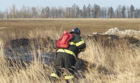 Горящий сухостой потушили в поле у Аладьино