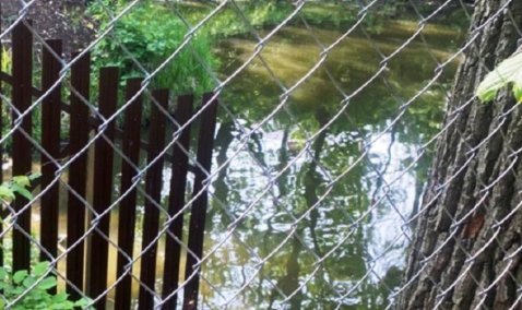 Владельца участка в Кашире, преградившего доступ к водоему, вынудили демонтировать ограждение