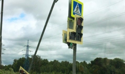 Ветер в Кашире гнет опоры светофоров и валит деревья