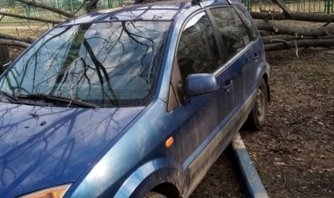 Ветреная неделя: в Кашире-2 на припаркованные автомобили рухнуло дерево
