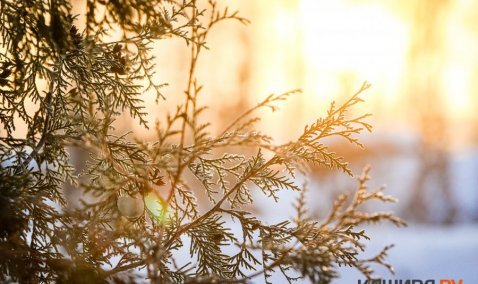 20-градусные морозы продержатся в Кашире до конца недели