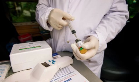 Собаку с подозрением на бешенство выявили на станции Кашира