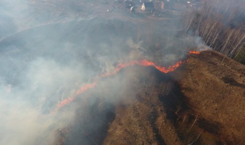 Горящая трава подступила вплотную к жилым домам рядом с Колтово