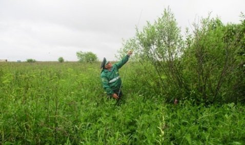 Каширского землевладельца оштрафовали в двойном размере за неухоженный участок в 2 гектара