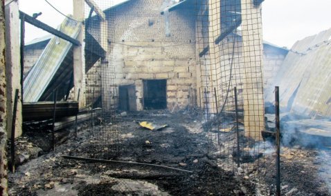 Под Каширой сгорела ферма: погибли 200 коз и коров