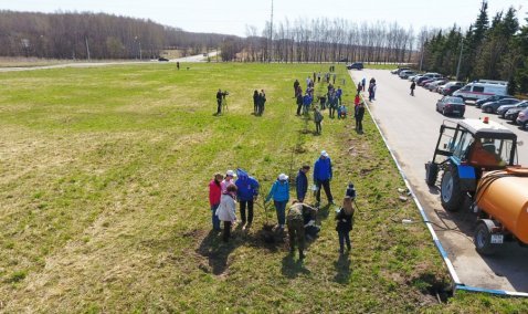 Сирень, дубы, дерен – более 1 тысячи деревьев и кустарников высадят в рамках акции «Лес Победы» в Кашире