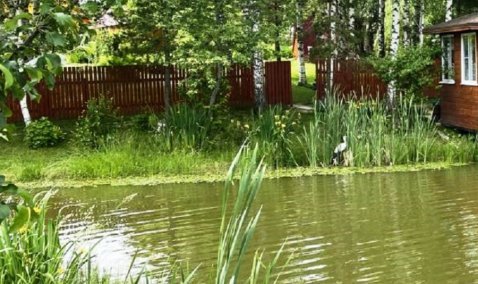 Житель Елькино, перегородивший доступ к пруду, проиграл судебный спор