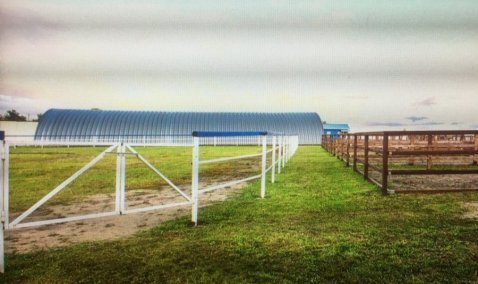 В городском округе Кашира появился новый конно-спортивный клуб