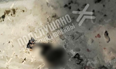 Следовавшая в Каширу электричка сбила двоих человек