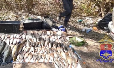 Каширские браконьеры заплатят по 30 тысяч рублей за незаконный вылов рыбы из Оки