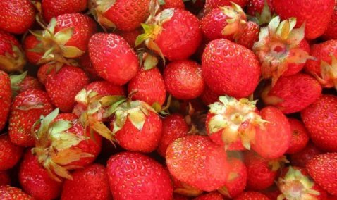 Первый урожай клубники появился в розничной продаже в магазинах «Агрокультура Групп»